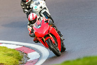 PJ-Motorsport-Photography-2020;anglesey;brands-hatch;cadwell-park;croft;donington-park;enduro-digital-images;event-digital-images;eventdigitalimages;mallory;no-limits;oulton-park;peter-wileman-photography;racing-digital-images;silverstone;snetterton;trackday-digital-images;trackday-photos;vmcc-banbury-run;welsh-2-day-enduro